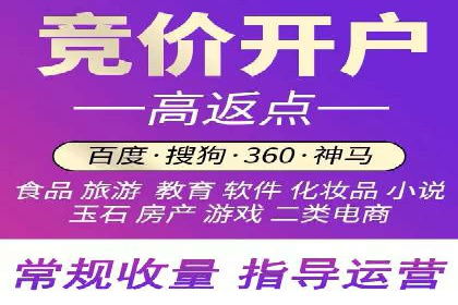 谷歌竞价广告在电商行业的运用案例