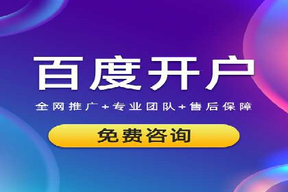 专业SEM服务托管方案案例分析